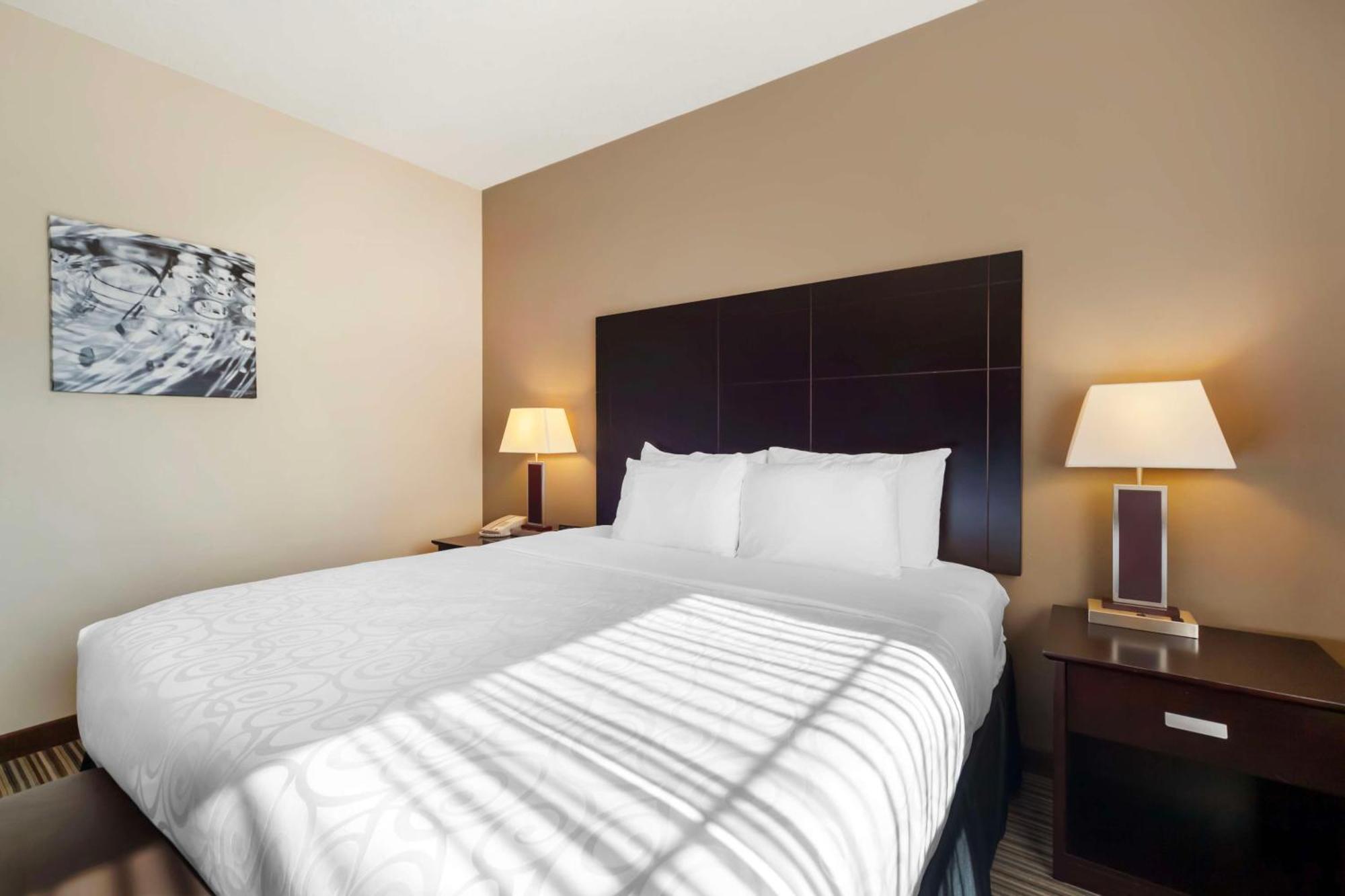 Best Western Plus Peace River Hotel & Suites Zewnętrze zdjęcie
